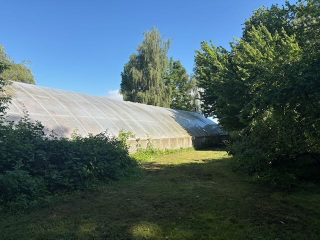 Interior of the Greenhouse